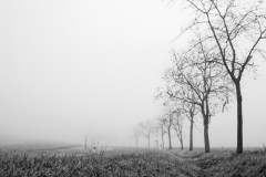 Straße im Nebel