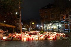 Der Park Schöntal, am 24.01.2025, ca. 06:00 Uhr